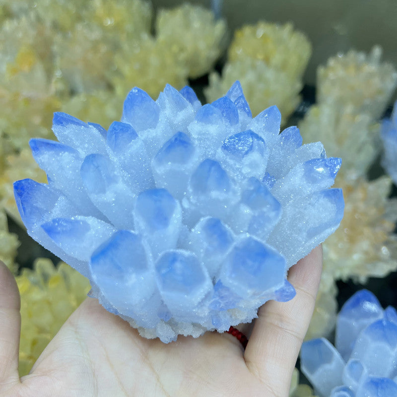 Hand holding Blue Phantom Crystal Quartz Cluster with blue tipped druzy points for altar tools