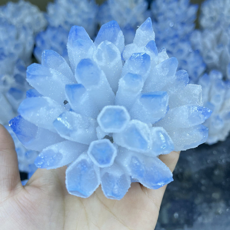 Hand holding Blue Phantom Crystal Quartz Cluster with blue tipped points and sparkly druzy for altar