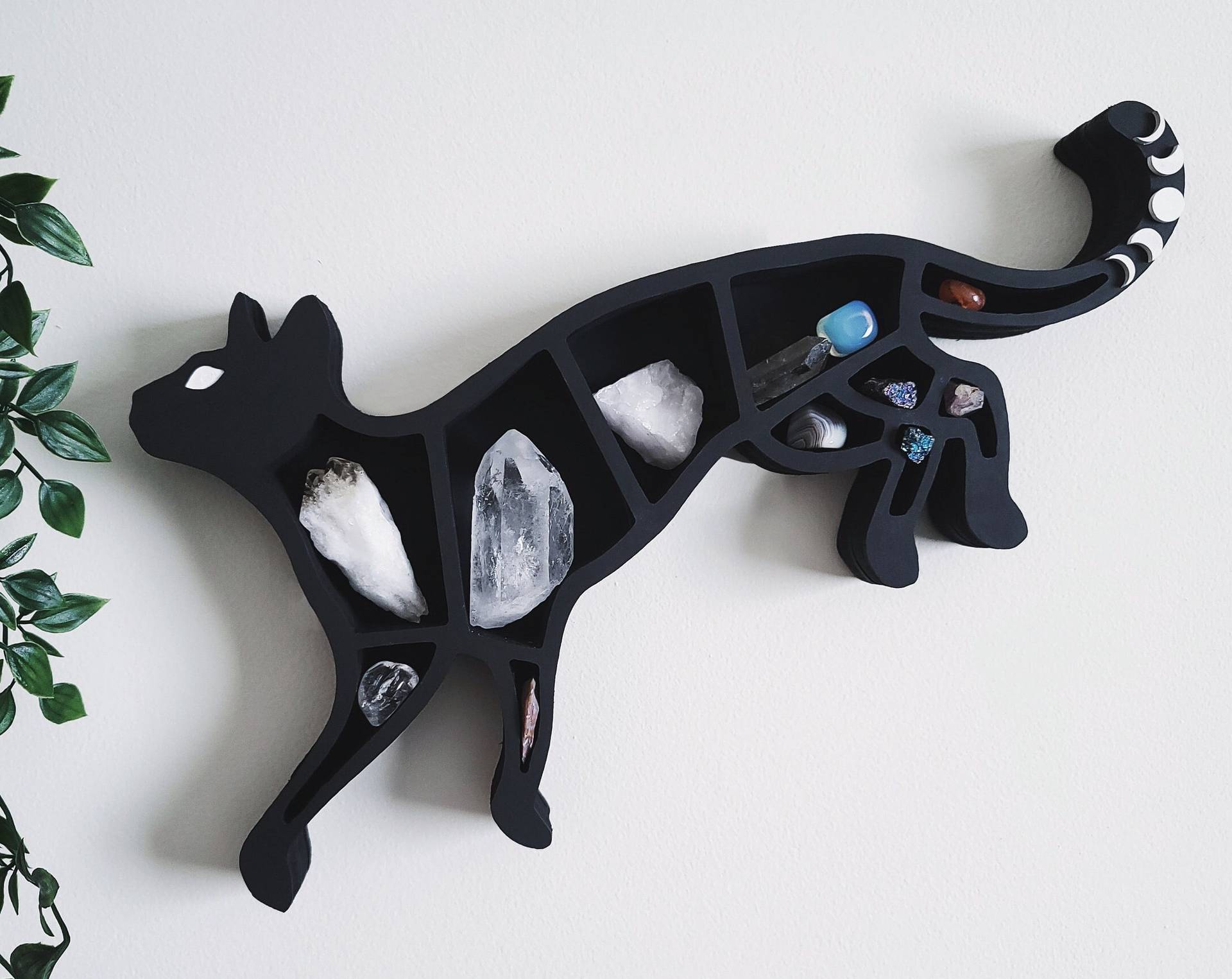 Black wooden snake or cat shelf for crystals wall decor by Sacred Moon Candle Co holding various crystals